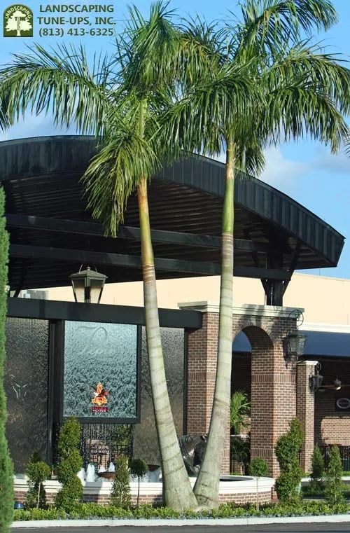 Top-rated lawn care service experts serving Tampa, FL - Landscaping Tune-Ups