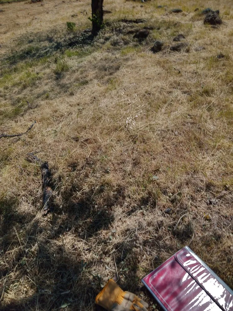 Trusted lawn mowing service experts serving Auburn, CA - Landscaping Unlimited