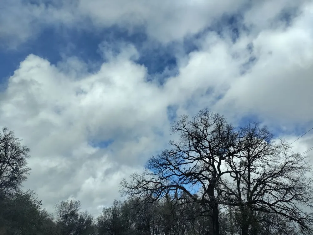 Expert yard maintenance in Auburn, CA - Landscaping Unlimited