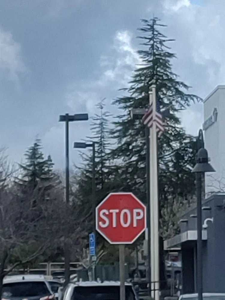 Affordable lawn mowing service experts serving Auburn, CA - Landscaping Unlimited