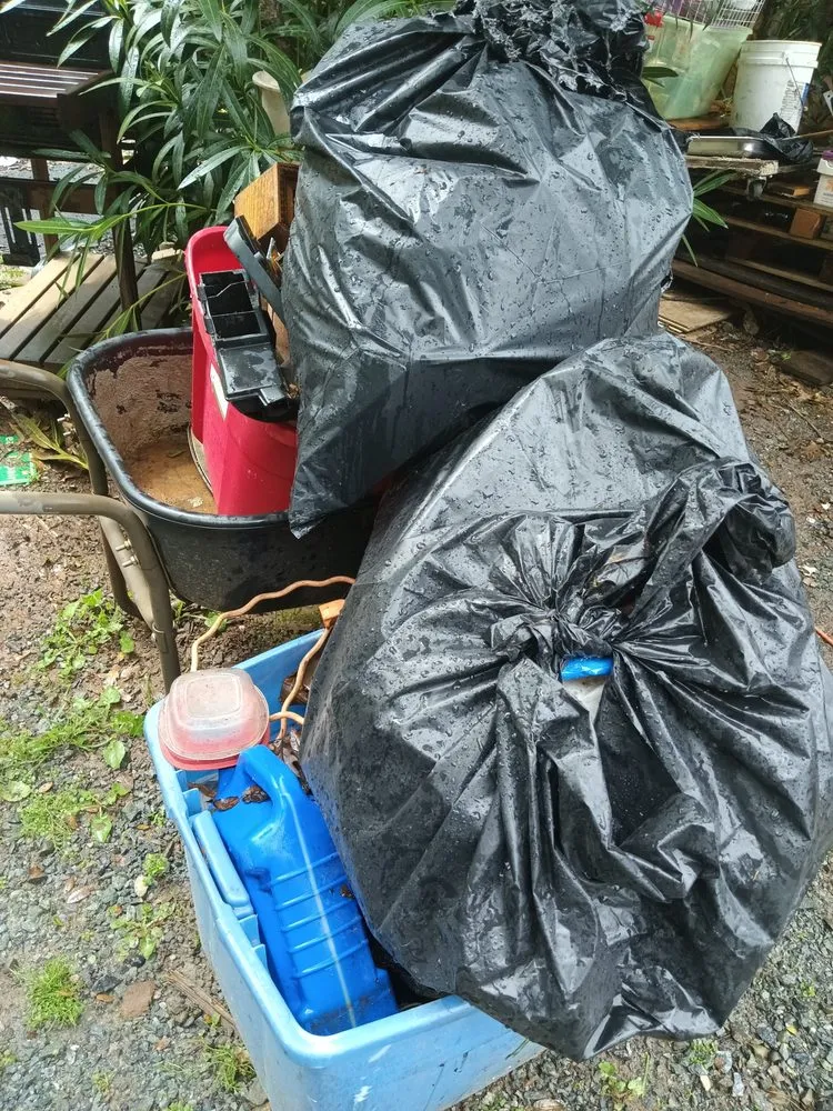 Top-rated lawn mowing service experts serving Auburn, CA - Landscaping Unlimited