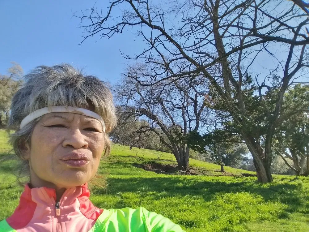 Professional garden landscaping for year-round maintenance in Auburn, CA by Landscaping Unlimited