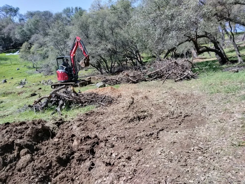 Expert outdoor landscaping for year-round maintenance across Auburn, CA - Landscaping Unlimited