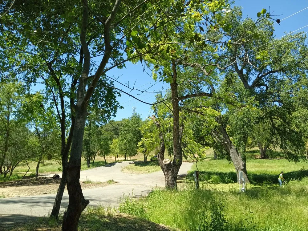 Reliable lawn mowing service near you across Auburn, CA - Landscaping Unlimited