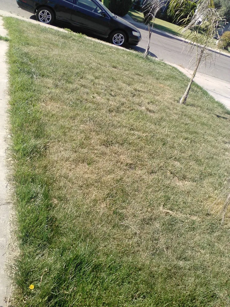 Local residential landscaping for outdoor upgrades in Modesto, CA by Landscaping Unlimited