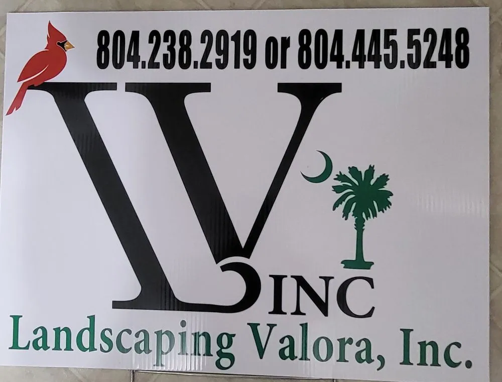Top-rated residential landscaping with custom design across Warsaw, VA - Landscaping Valora