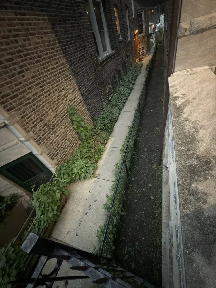 Trusted lawn mowing service in Chicago, IL by Landscaping victoria