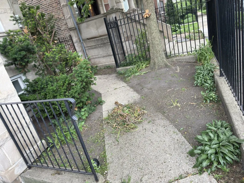 Professional outdoor landscaping for outdoor upgrades in Chicago, IL by Landscaping victoria