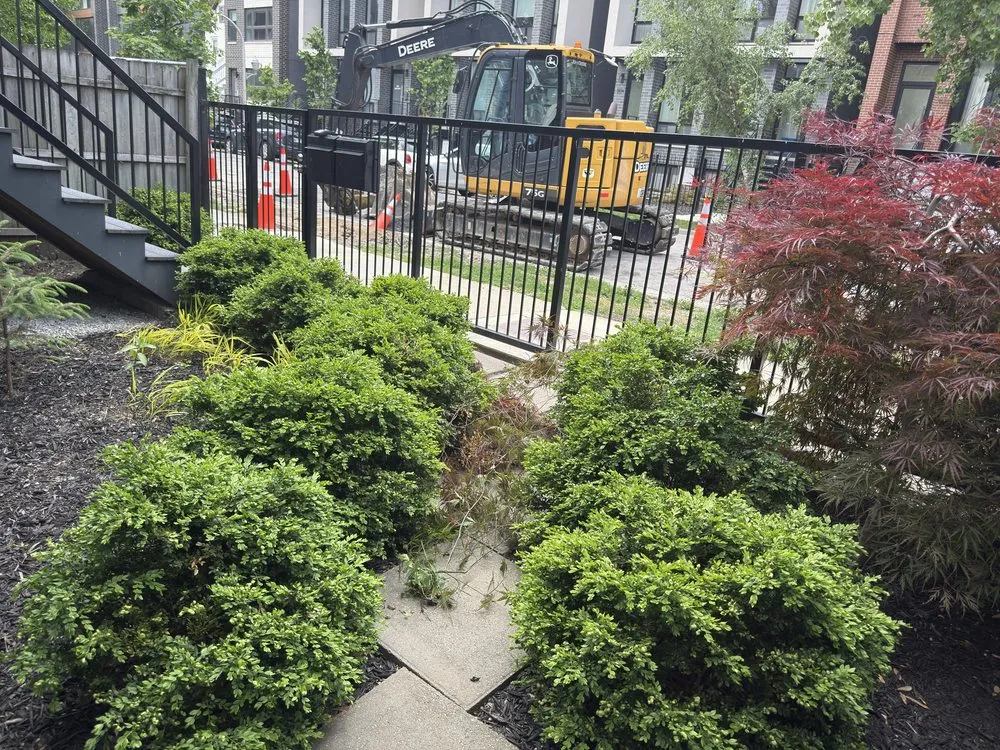 Top-rated lawn mowing service for homes in Chicago, IL by Landscaping victoria