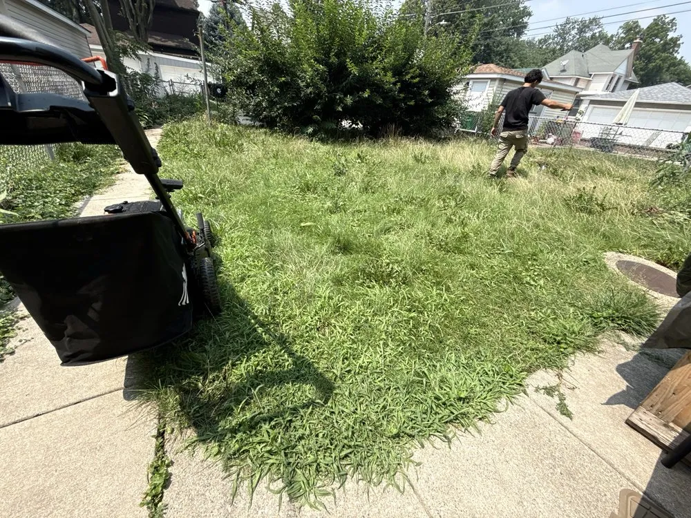 Reliable outdoor landscaping for beautiful yards in Chicago, IL by Landscaping victoria