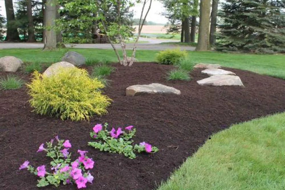 Affordable yard maintenance experts serving Niles, IL - Landscaping Wheat Spike