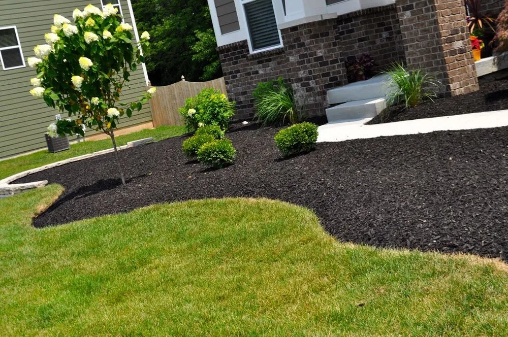 Expert lawn mowing service in Niles, IL - Landscaping Wheat Spike