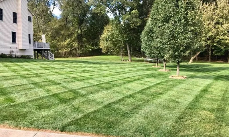 Trusted outdoor landscaping experts serving Niles, IL - Landscaping Wheat Spike