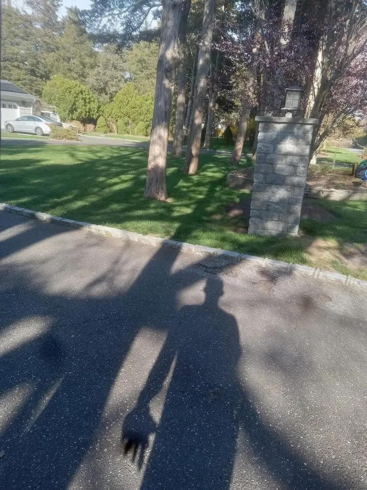 Top-rated landscape installation for residential properties in Mastic, NY by Landscaping Willy