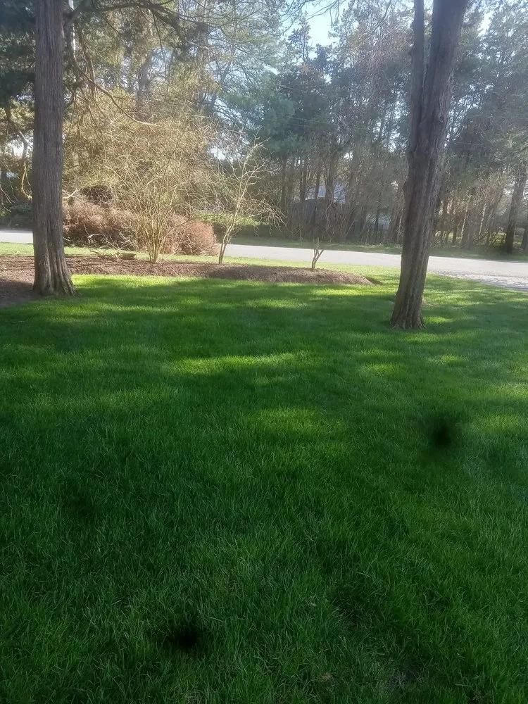 Reliable landscape design for year-round maintenance in Mastic, NY by Landscaping Willy