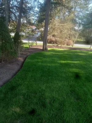 Landscaping Willy Logo