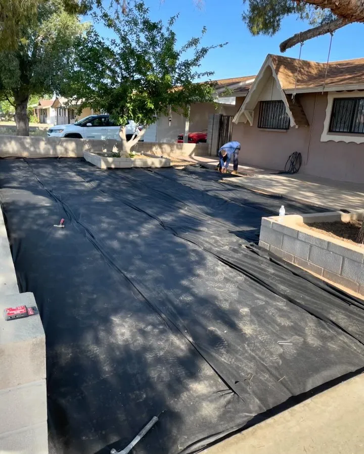 Expert yard maintenance in Phoenix, AZ - Landscaping with Desert Coral