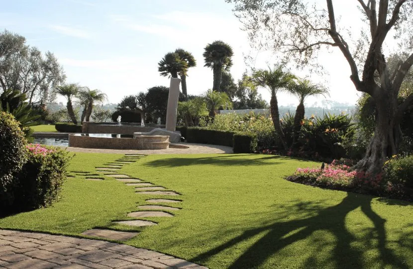 Top-rated yard cleanup service experts serving Phoenix, AZ - Landscaping with Desert Coral