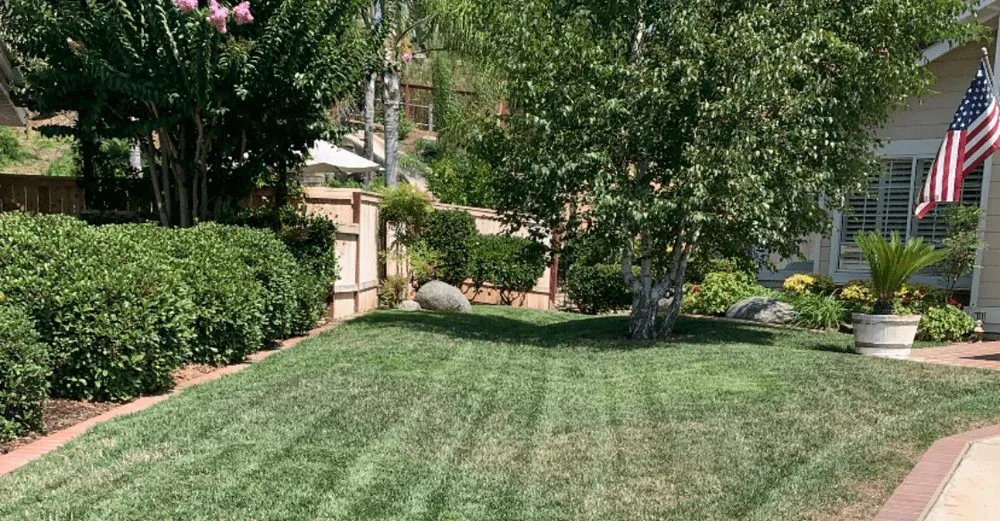 Expert residential landscaping for beautiful yards across Phoenix, AZ - Landscaping with Desert Coral