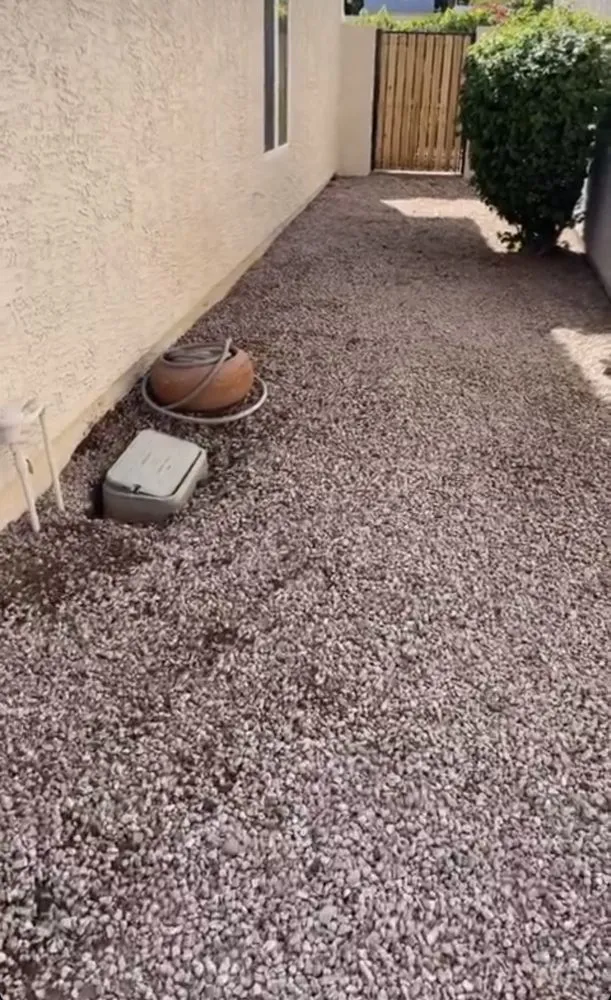 Professional yard cleanup service for homes in Phoenix, AZ by Landscaping with Desert Coral