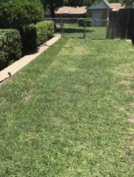 Affordable yard maintenance in Phoenix, AZ by Landscaping with Desert Coral