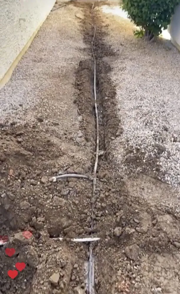 Top-rated yard cleanup service for homes in Phoenix, AZ by Landscaping with Desert Coral