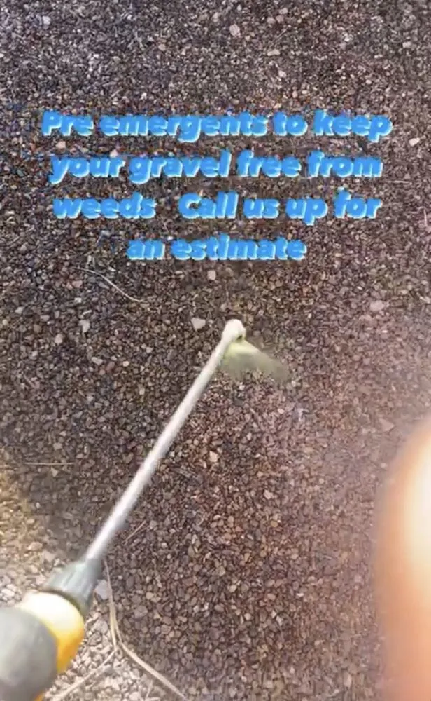 Top-rated outdoor landscaping in Phoenix, AZ - Landscaping with Desert Coral