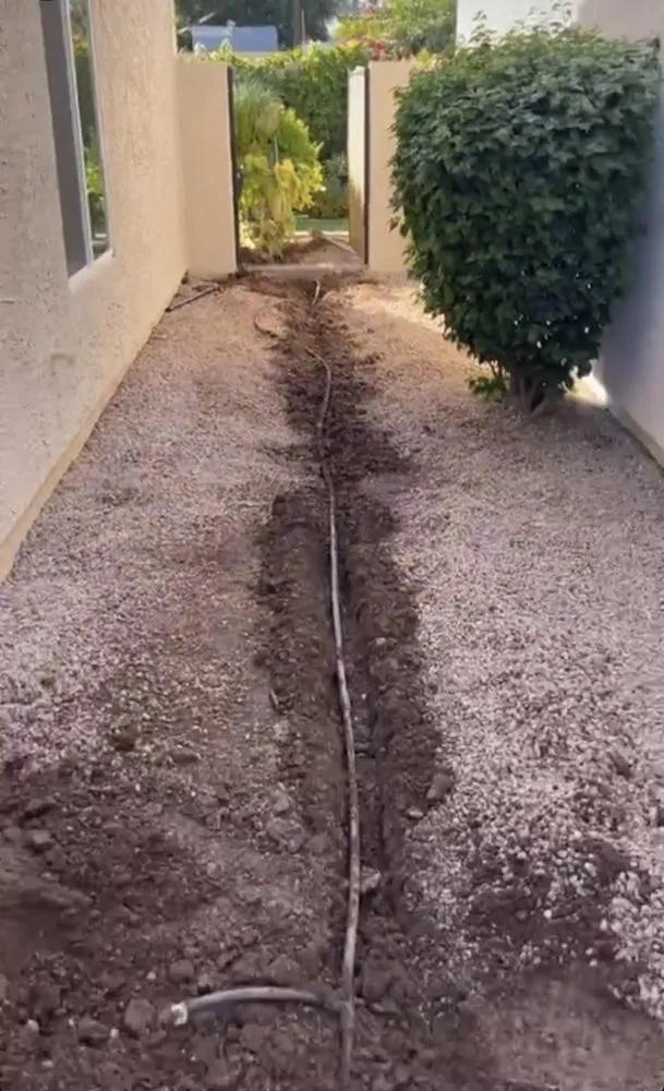 Affordable yard cleanup service for beautiful yards across Phoenix, AZ - Landscaping with Desert Coral