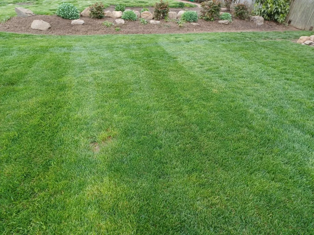 Custom yard maintenance in East Syracuse, NY - Landscaping with HART