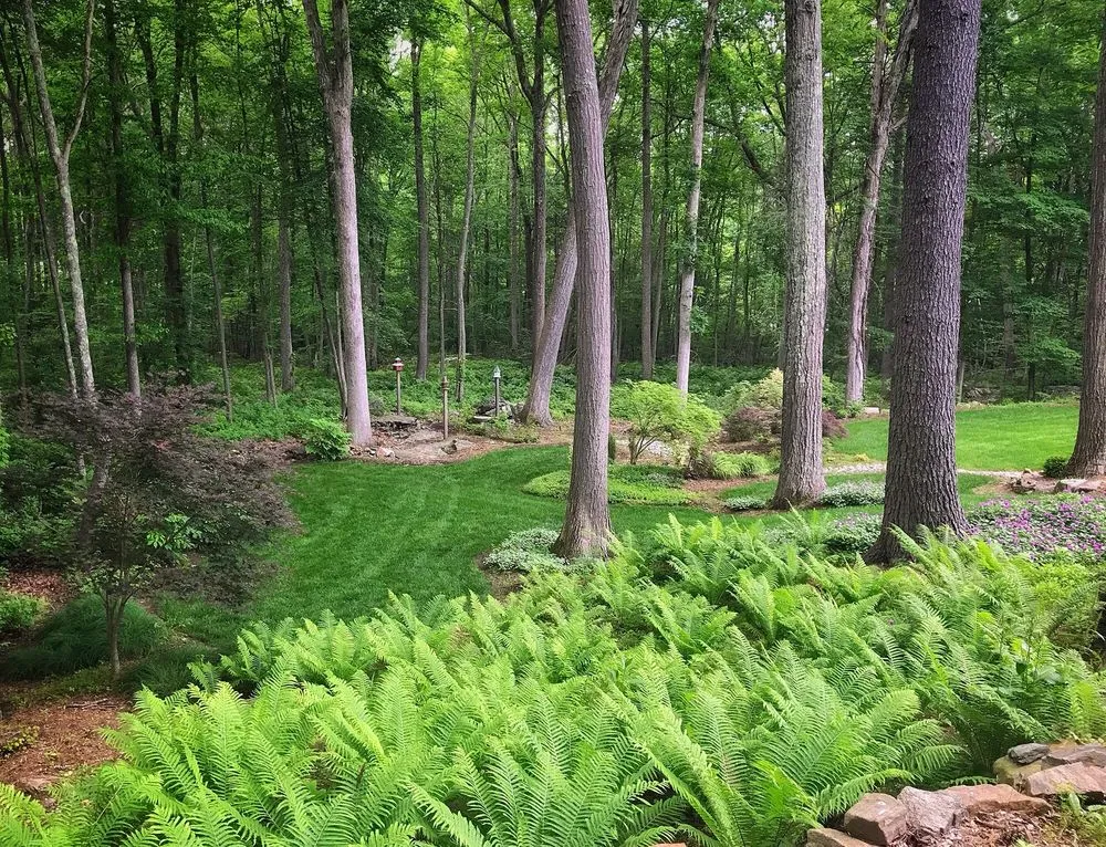 Trusted landscape installation with custom design in Guilford, CT by Landscaping with Hart