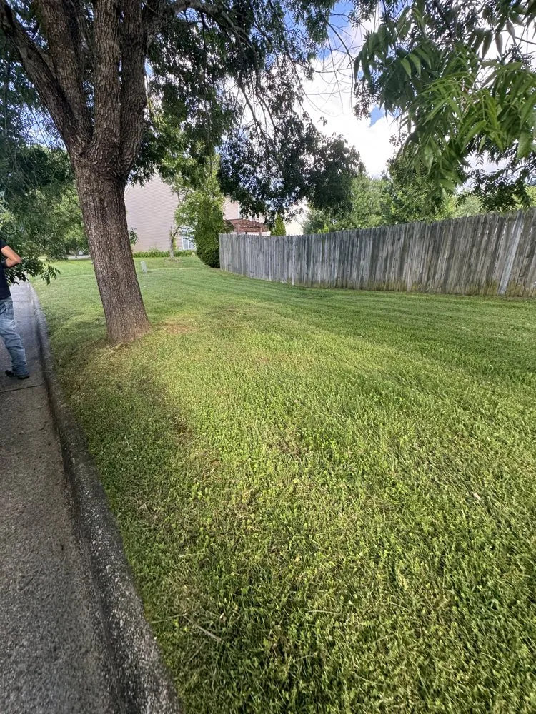 Reliable yard cleanup service in Archdale, NC by Landscaping With Ramirez