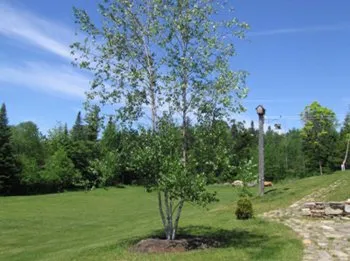 Reliable residential landscaping experts serving Berlin, NH - Landscaping With Styles