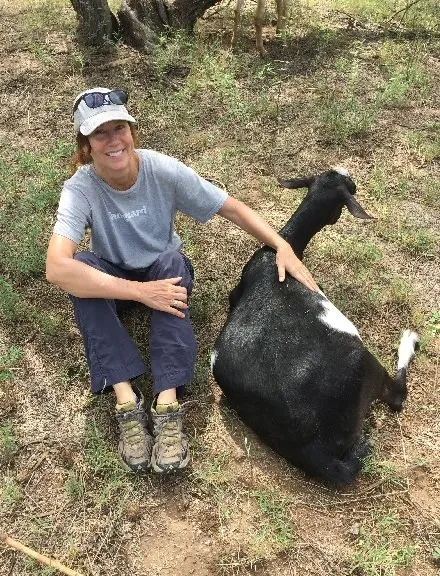 Expert lawn care service with custom design in Tucson, AZ by Landscaping with Team Goats