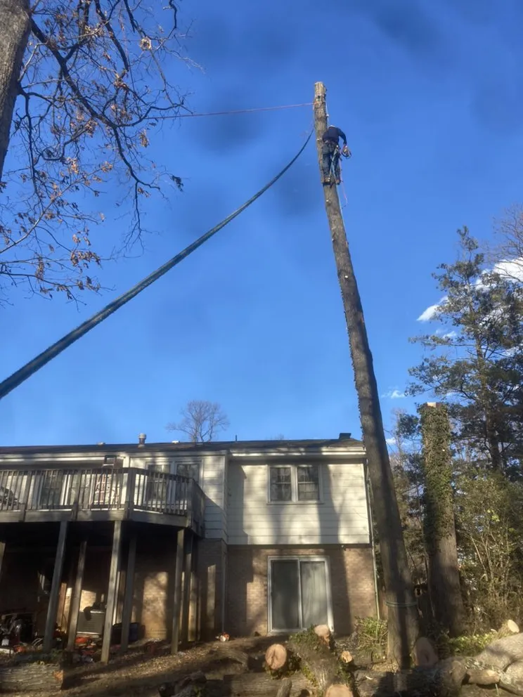 Custom landscaping services for homes in Sterling, VA by Landscaping Works