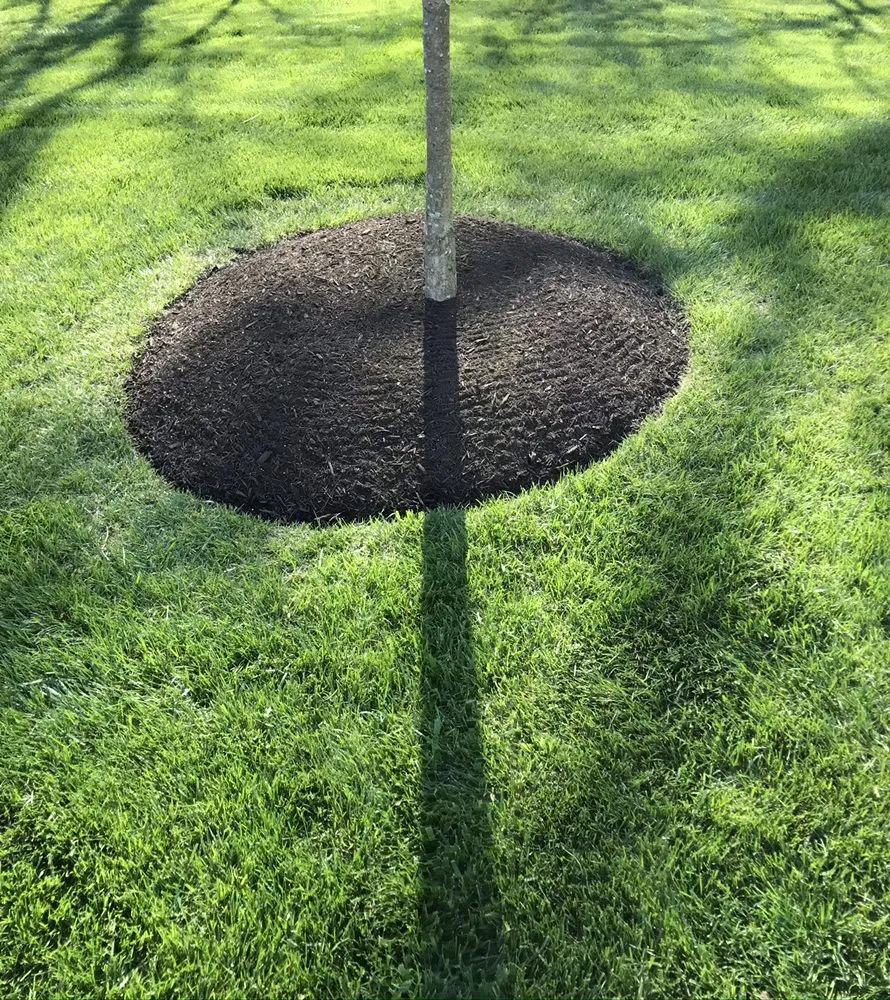 Affordable outdoor landscaping in Sterling, VA by Landscaping Works