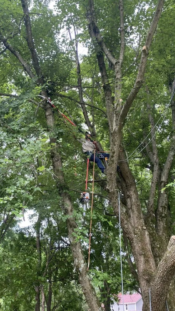 Trusted landscape design in Sterling, VA - Landscaping Works