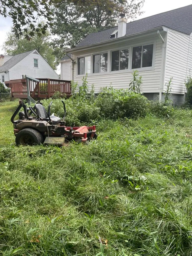 Affordable landscape design in Sterling, VA - Landscaping Works