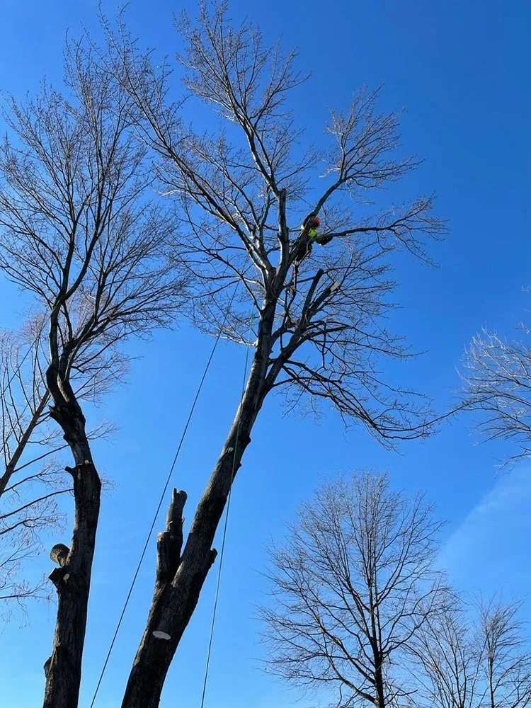 Top-rated landscape design for homes across Sterling, VA - Landscaping Works