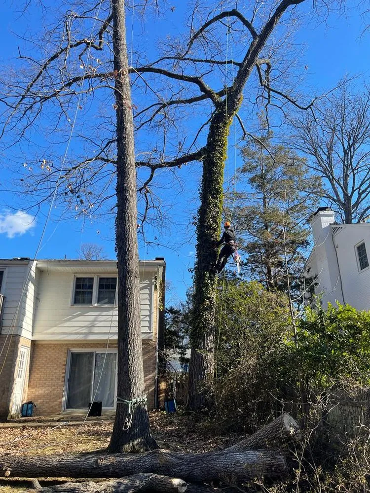 Expert landscape design in Sterling, VA - Landscaping Works