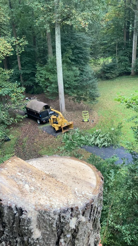 Custom lawn care service near you in Sterling, VA by Landscaping Works