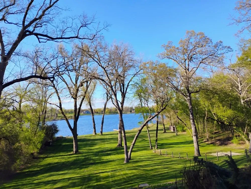 Affordable residential landscaping with custom design in McCullom Lake, IL by landscapingbros