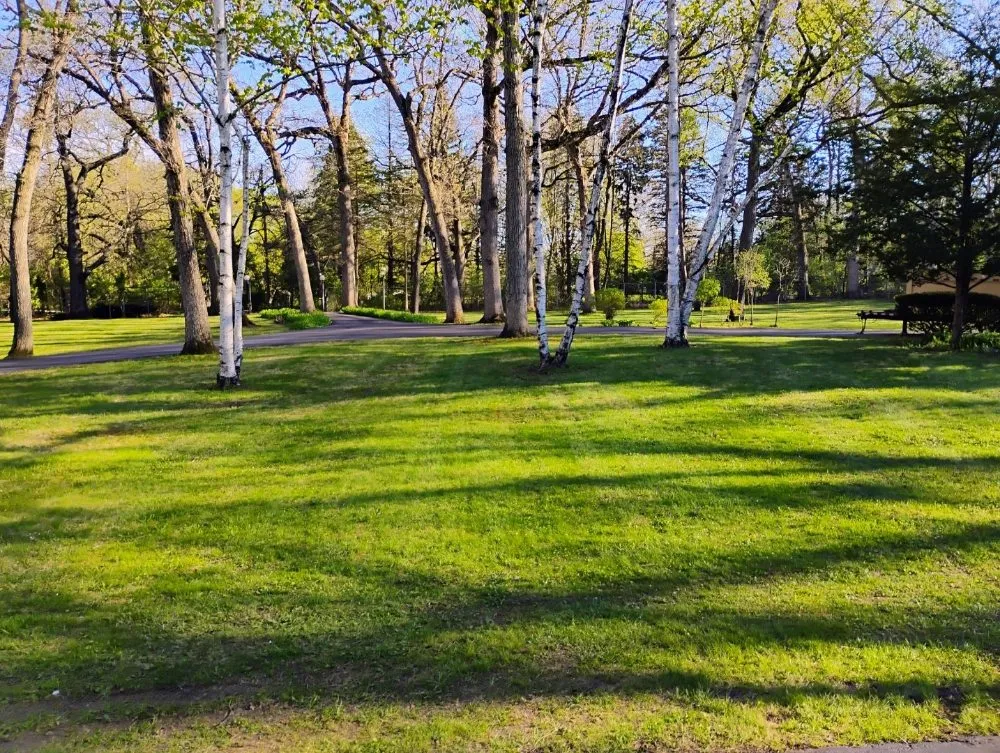 Affordable yard cleanup service in McCullom Lake, IL - landscapingbros