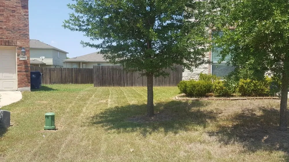 Professional lawn care service in Manor, TX - Landscaping...by Rigo