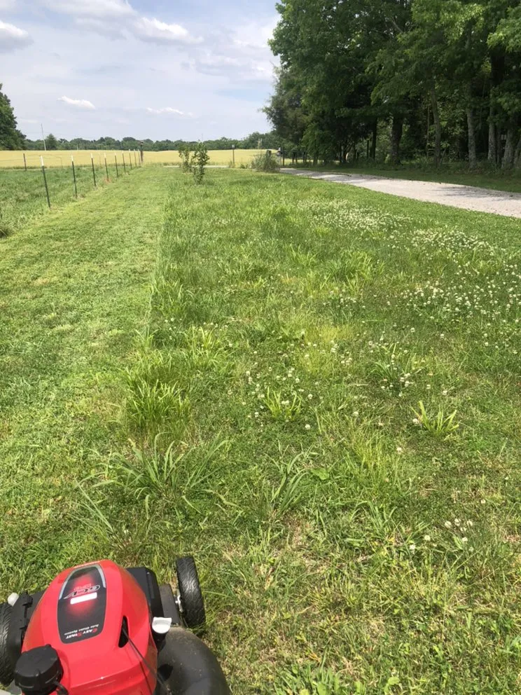 Trusted landscape installation for residential properties across Athens, AL - Landscaping&Lawn Service