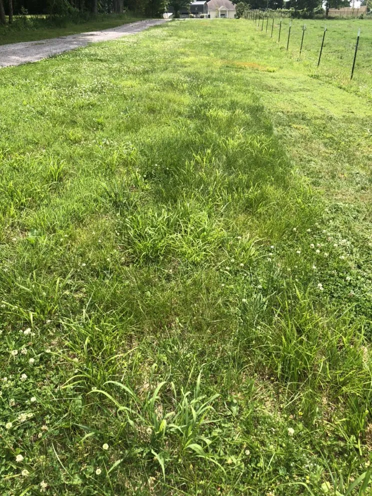 Professional landscape design for beautiful yards across Athens, AL - Landscaping&Lawn Service