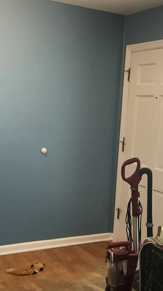 Local yard cleanup service for outdoor upgrades in Athens, AL by Landscaping&Lawn Service