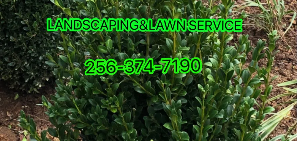 Trusted yard cleanup service in Athens, AL by Landscaping&Lawn Service