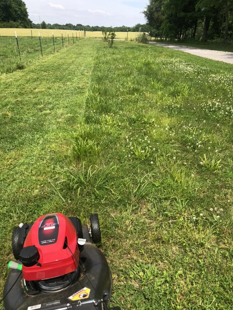 Trusted yard maintenance for beautiful yards in Athens, AL by Landscaping&Lawn Service