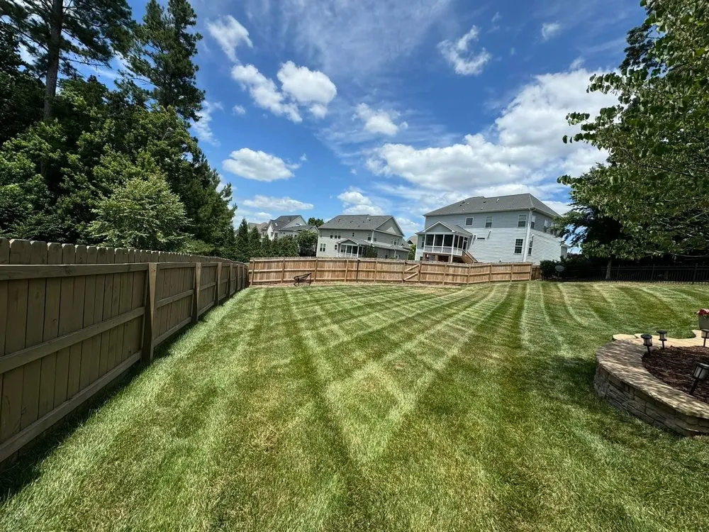 Reliable yard cleanup service experts serving Newark, DE - Landscaping Martinez