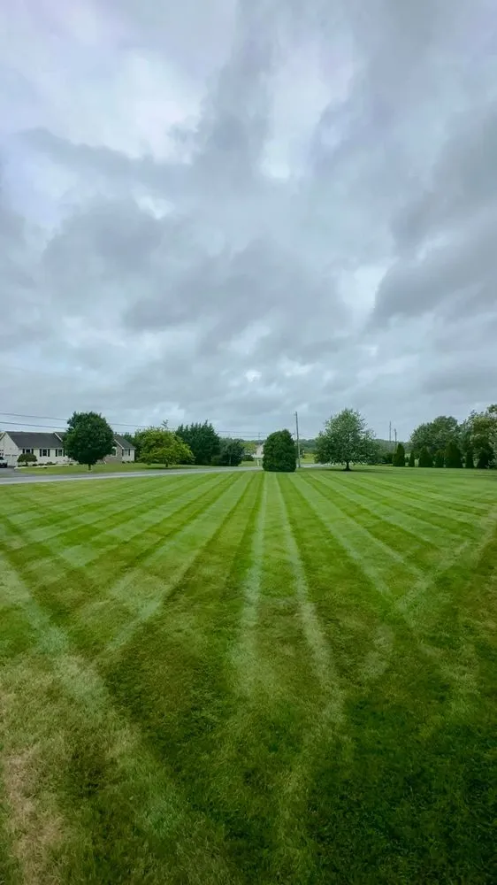 Top-rated residential landscaping in Newark, DE by Landscaping Martinez